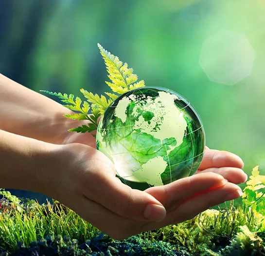 Sustainability